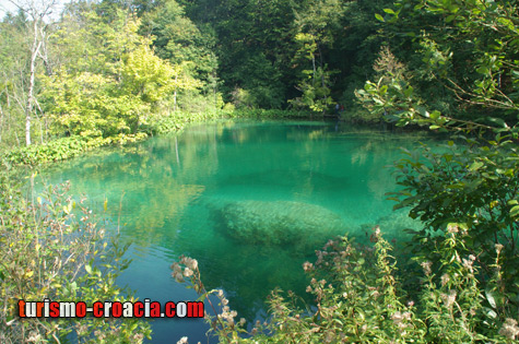 Bello lago en los Lagos Plitvice Lago - Lagos Plitvice