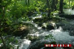 Parque Nacional de los Lagos Plitvice